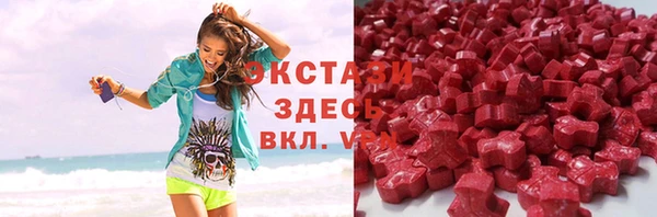 индика Магас