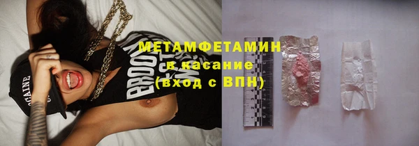 прущие грибы Липки