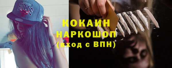 тгк Лиски