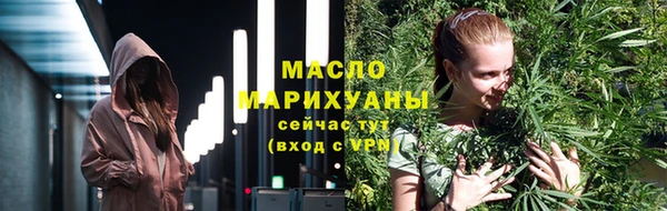 индика Магас