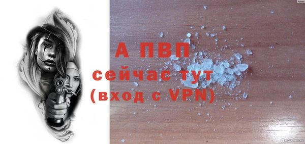 индика Магас