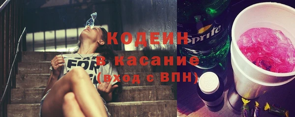 индика Магас