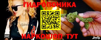 PSILOCYBIN Гусь-Хрустальный