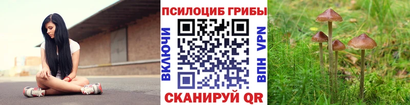 где продают   Нефтекамск  Галлюциногенные грибы прущие грибы 