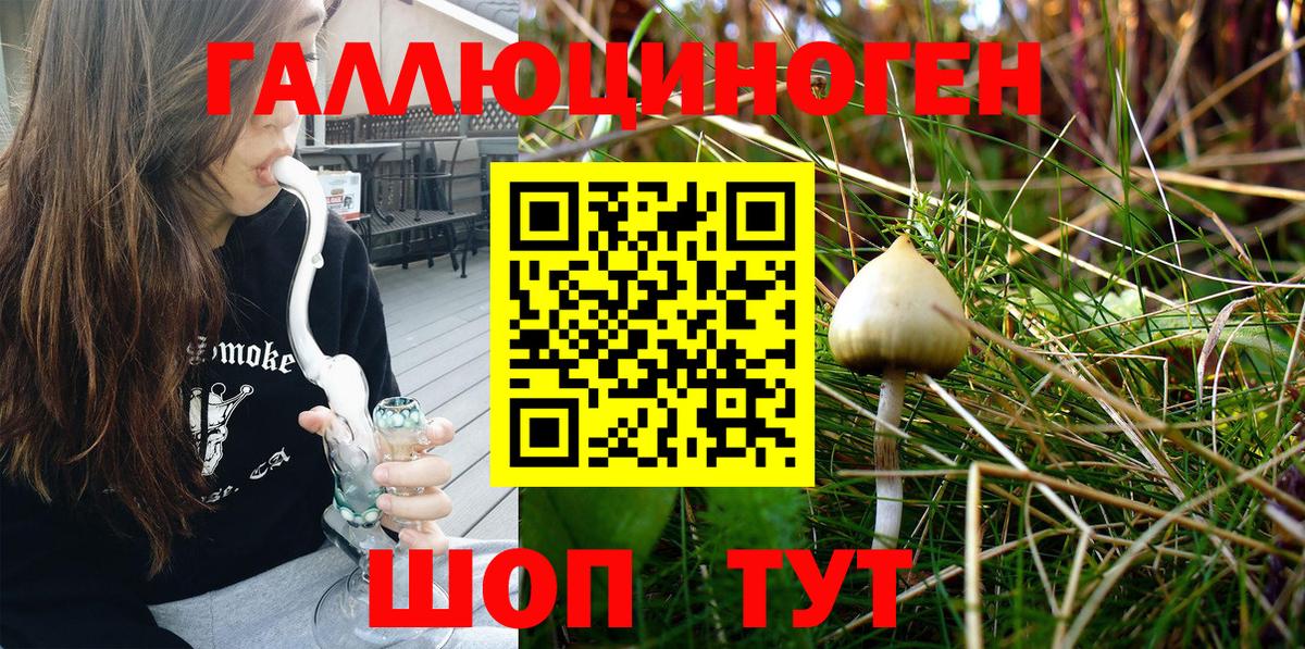 Нефтекамск  Галлюциногенные грибы MAGIC MUSHROOMS  Вход с VPN 